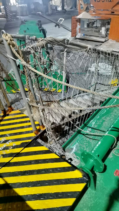 2011 Built 8000 DWT Bulk Carrier For Sale