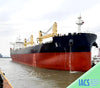 2025 Built 63500 DWT Bulk Carrier for sale