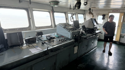 2008 Built 10000 DWT 720 TEU Container Ship For Sale