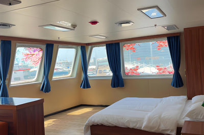 2021 Built Cruise ship For Sale