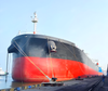 2023 Built 53000 DWT Bulk Carrier For Sale