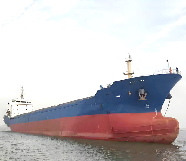 2010 Built 14000 DWT Bulk Carrier For Sale