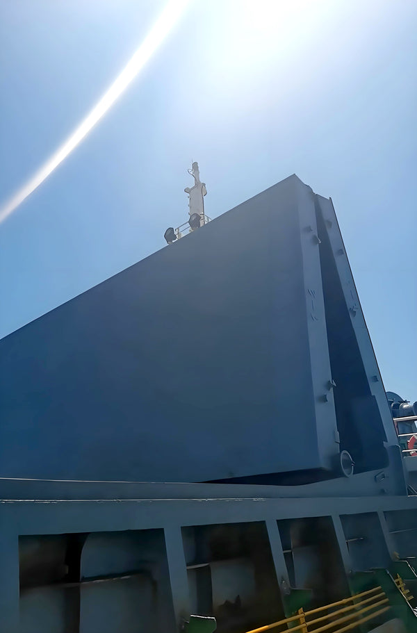 2018 Built 9500 DWT Bulk Carrier For Sale