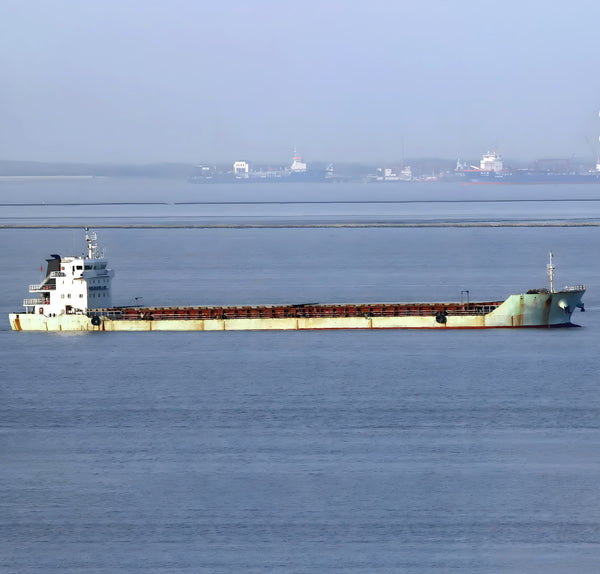 2018 Built 9500 DWT Bulk Carrier For Sale