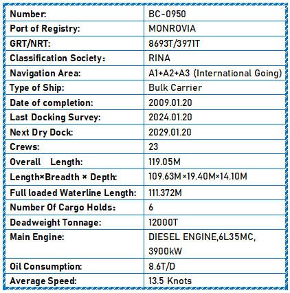 2009 Built 12000 DWT Bulk Carrier For Sale Detail 9
