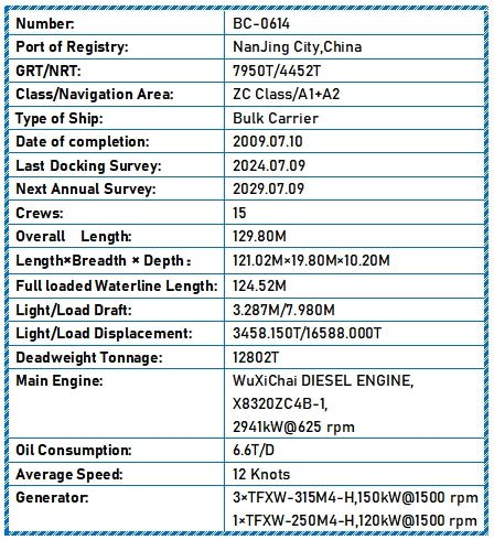 2009 Built 13000 DWT Bulk Carrier For Sale Detail 10