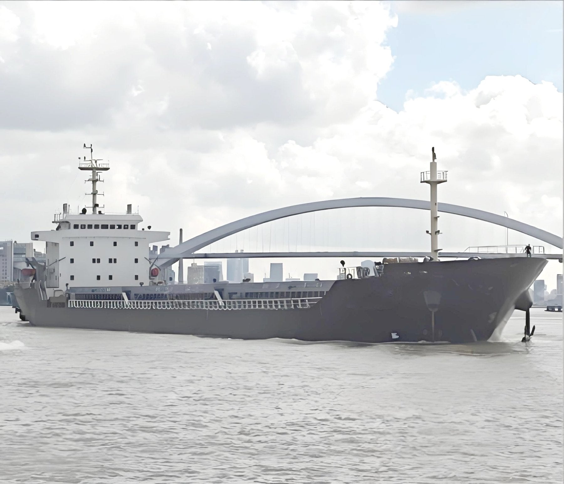 2009 Built 16000 DWT Bulk Carrier For Sale Detail 2