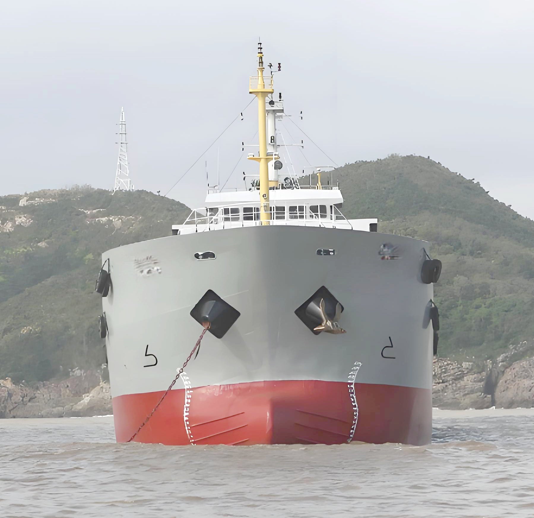 2012 Built 3500 DWT 269 TEU Container Ship For Sale Detail 5