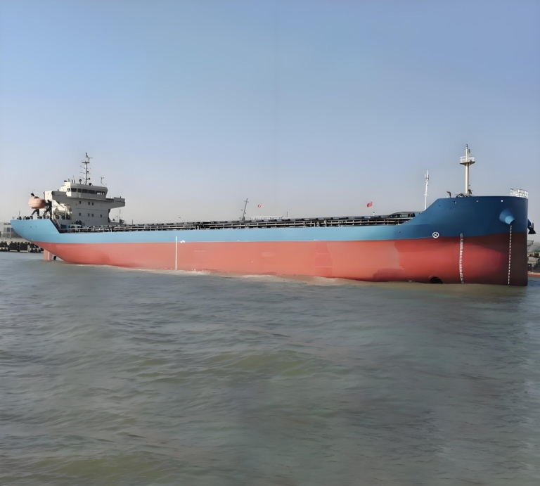 2020 Built 9800 DWT Bulk Carrier For Sale For Sale