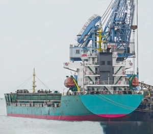 2023年建造的12000载重吨散货船出售 2429734 2023 Built 12000 DWT Bulk Carrier For Sale For Sale