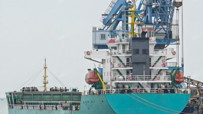 2023 Built 12000 DWT Bulk Carrier For Sale