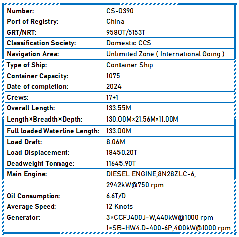 2024 Built 12000 DWT 1075 TEU Container Ship For Sale Detail 14