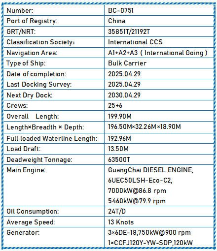 2025 Built 63500 DWT Bulk Carrier for sale Detail 14