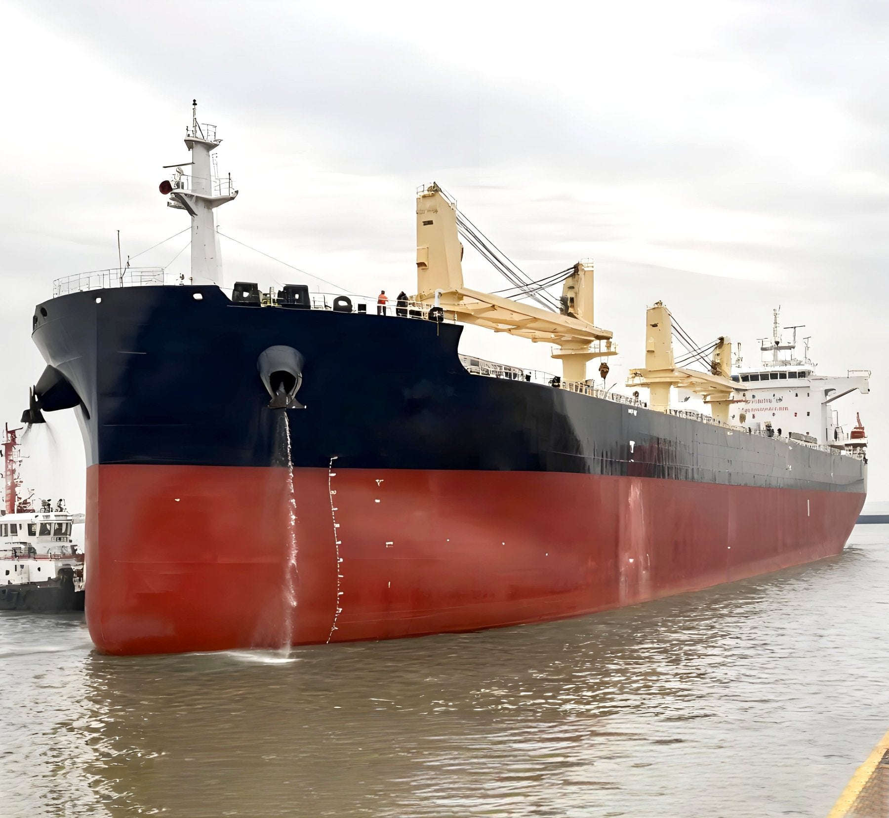 2025 Built 63500 DWT Bulk Carrier for sale Detail 1