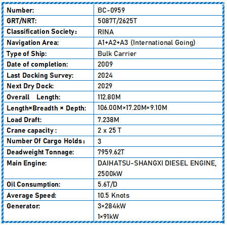 2009 Built 8000 DWT Bulk Carrier For Sale Detail 4