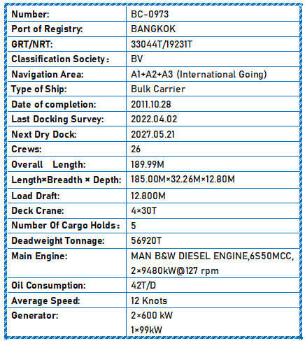 2011 Built 57000 DWT Bulk Carrier For Sale Detail 6