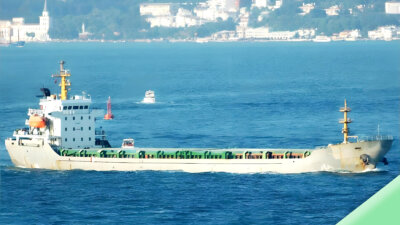 2006 Built 8000 DWT Bulk Carrier For Sale
