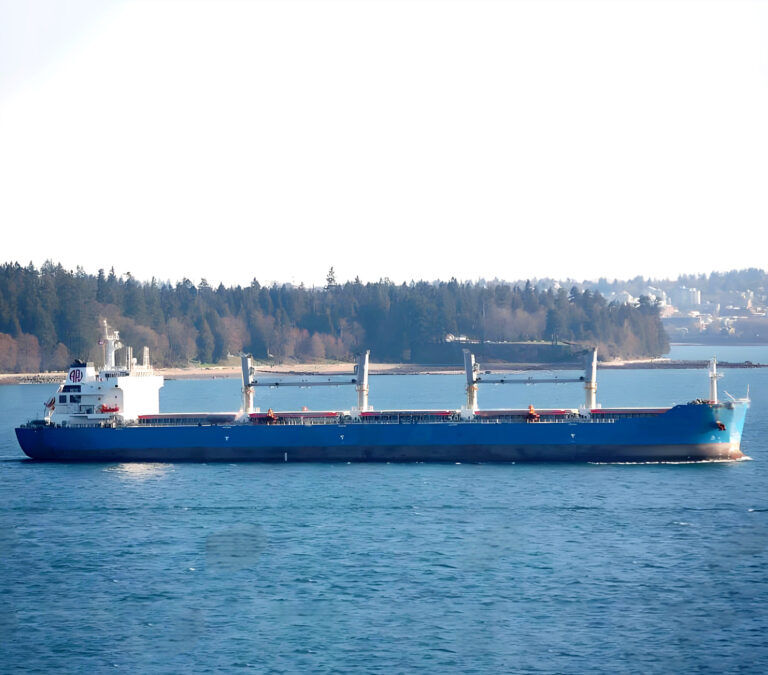 2009 Built 57000 DWT Bulk Carrier For Sale For Sale