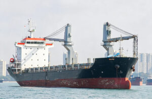 Buque portacontenedores de 9.000 DWT construido en 2008, en venta 002 2008: Construcción de un buque portacontenedores de 9.000 TPM
