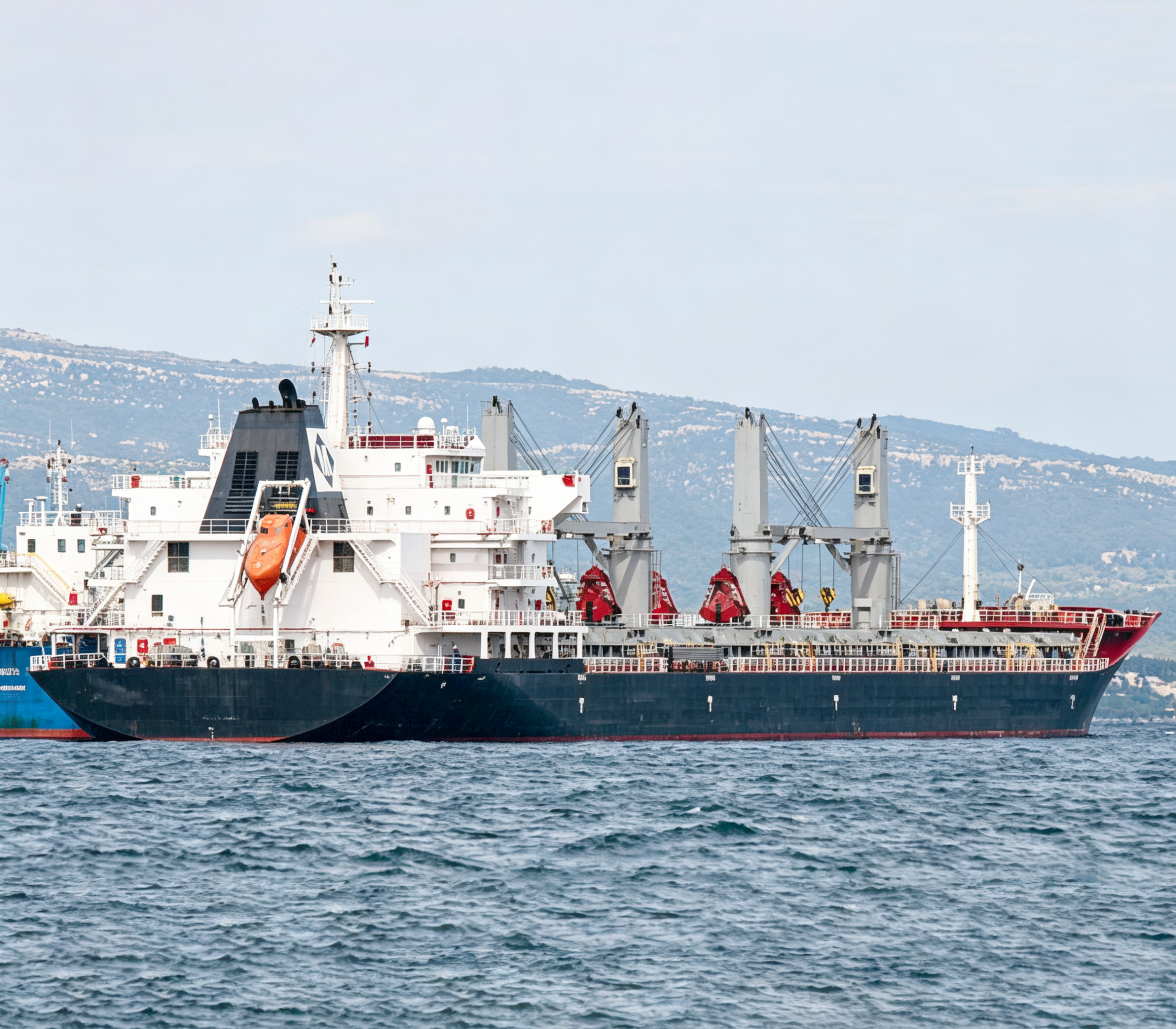 2011 Built 36000 DWT Bulk Carrier For Sale Detail 2