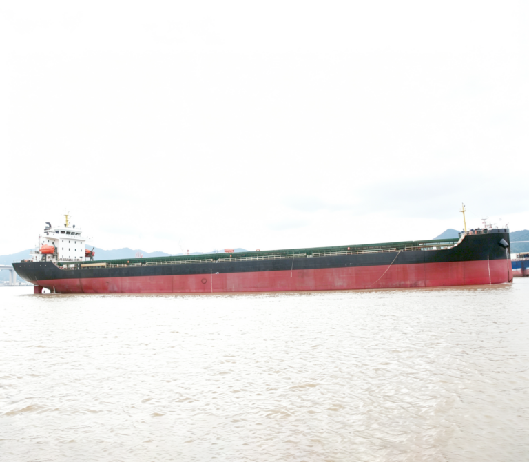 2021 Built 16000 DWT Bulk Carrier For Sale For Sale