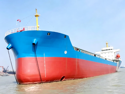 Granelero de 12 000 DWT construido en 2022, en venta